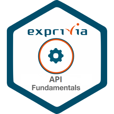  API Fundamentals